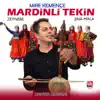 Mardinli Tekin - Mire Kemençe / Zeynebe / Jına Mala (Daweta Xurpani)